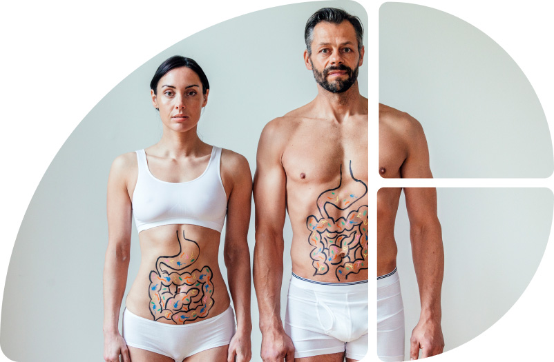Mann und Frau mit visualisierten Verdauungsorganen